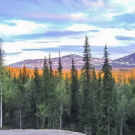 度假居 Pallaksen Valkkorinne By Interhome Raattama