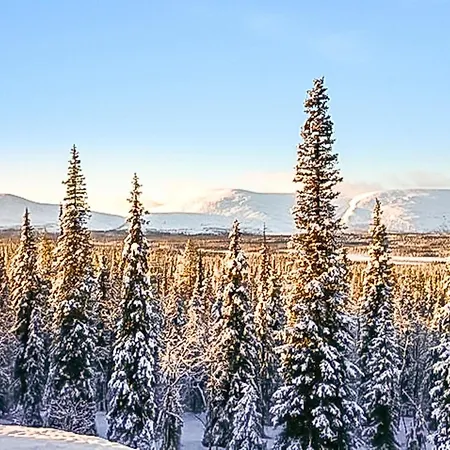 Pallaksen Valkkorinne By Interhome Raattama