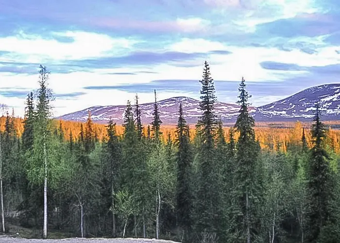 Pallaksen Valkkorinne By Interhome